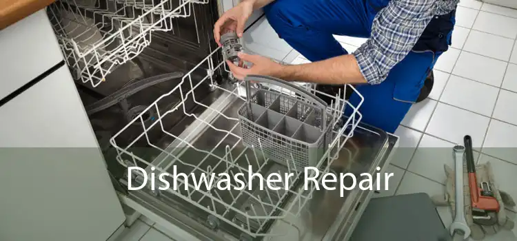 Dishwasher Repair 