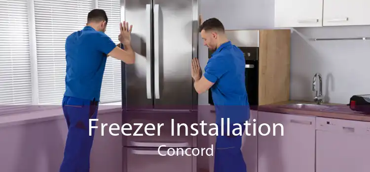 Freezer Installation Concord