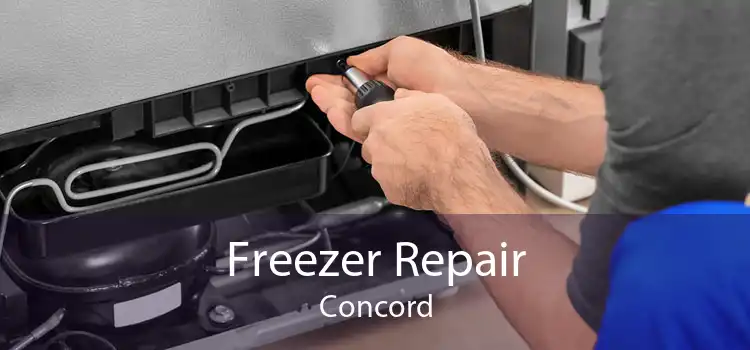 Freezer Repair Concord