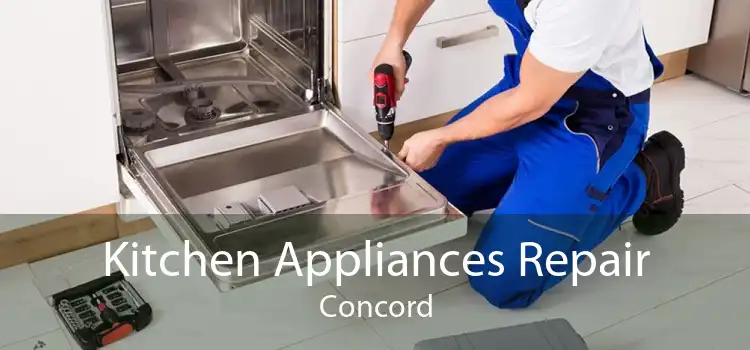 Kitchen Appliances Repair Concord