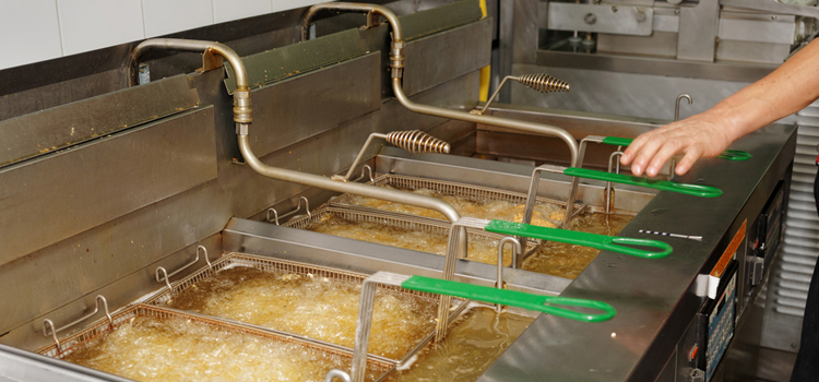 AEG Commercial Fryer Repair in Concord 