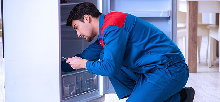 Blue Star Freezer Repair Services in Concord
